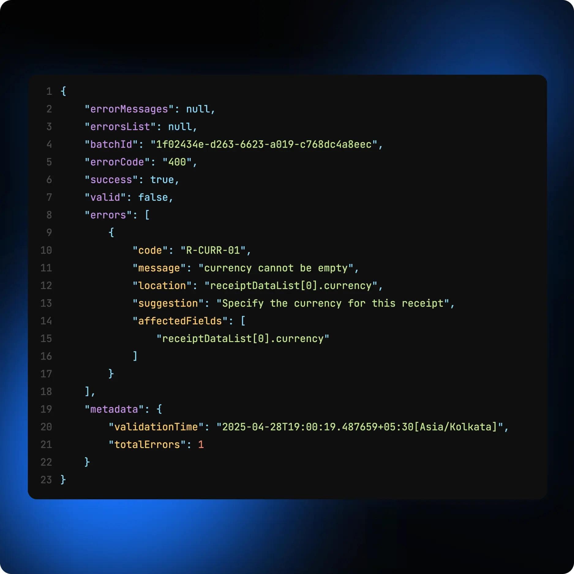 Complex E-Invoicing Errors made simple